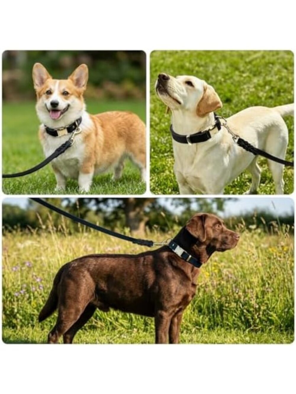 Durable Leather Dog Collar & 6FT Leash Set - Adjustable, Soft, Heavy Duty for - Picture 5 of 6
